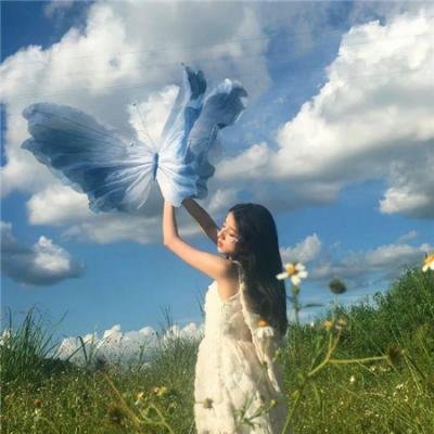 觅迹追踪海报